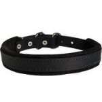 Padded Leather Dog Collar with Felt, Narrow Width for Training