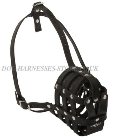 Belgian Malinois Leather Muzzle for Everyday Use