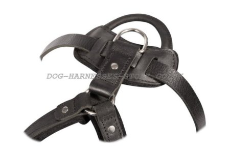 High-Quality Leather Dog Harness for Training