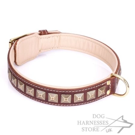 Brown Leather Dog Collar with Brass Studs "Pyramid"