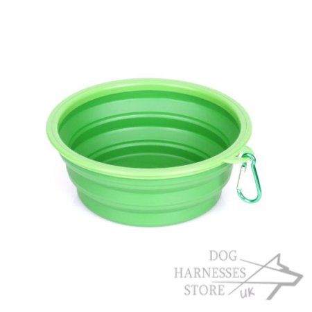 Dog Food and Water Bowl Combo of Medium Size