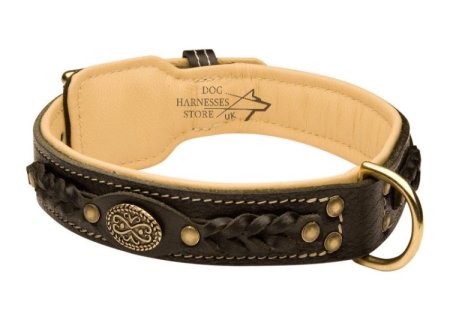 Labrador Leather Dog Collar Royal Nappa Lined