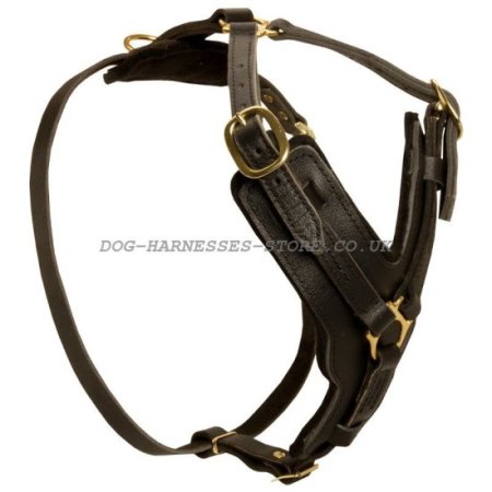 German Shepherd Leather Dog Harness for Walking and Training