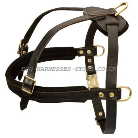 Dog Pulling Harness of Leather for Alano Espanol
