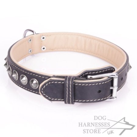 Black Leather Collar for Dog "Cone" with Nappa