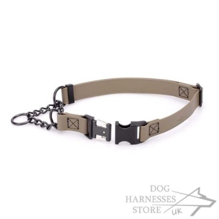 Biothane Martingale Dog Collar with Quick-Release Buckle