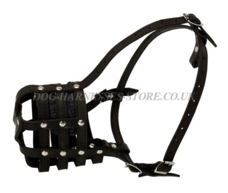 Belgian Malinois Leather Muzzle for Everyday Use