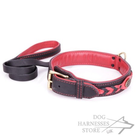 Handmade Leather Dog Collar and Leash Exclusive Set "Heavy Fire"