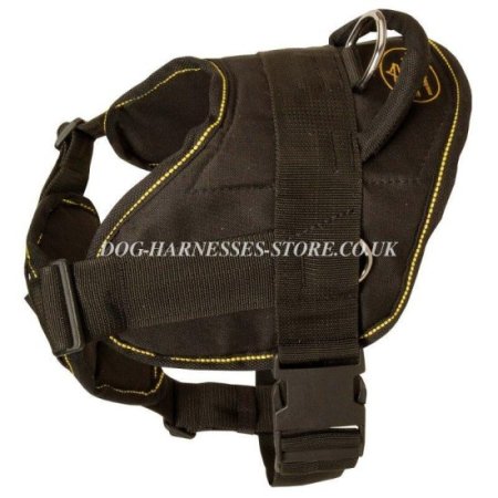 Dog Harness for French Bulldog, Use in Any Weather!