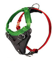 How to Size Dog Harness
