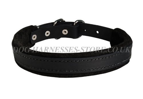 Best Doberman Dog Collar