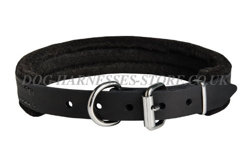 Padded Dog Collars UK