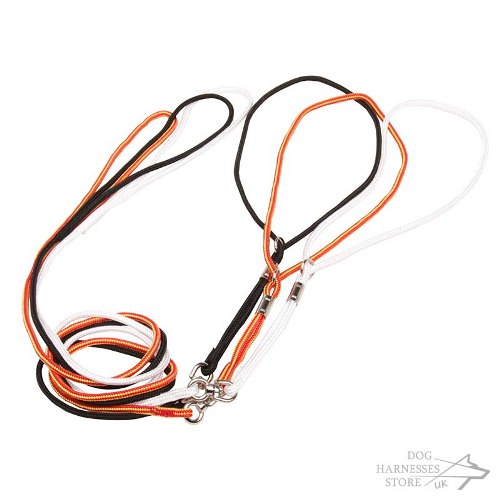 Dog Show Leads and Collars