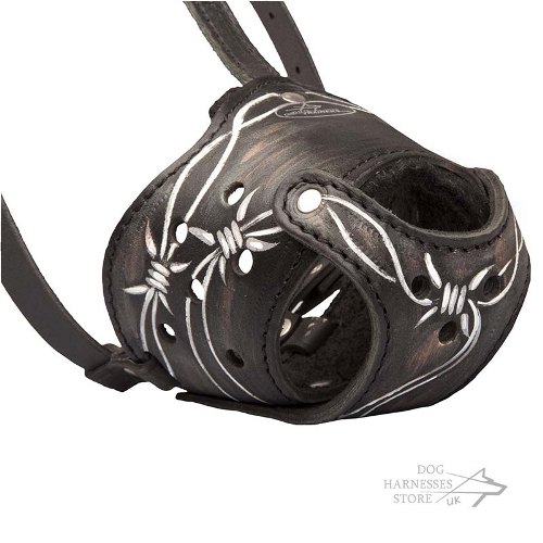 Leather Dog Muzzle Pattern