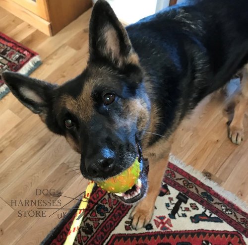 German Shepherd Toy UK