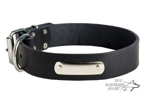 Dog Collar with Name Plate - Best in UK - £30.90