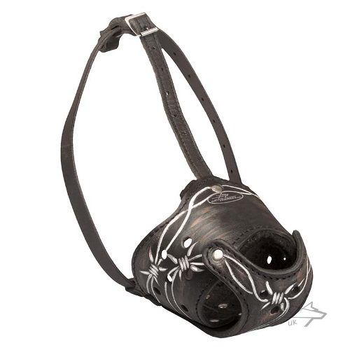 Painted Leather Dog Muzzle with Exclusive Barbed Wire Ornament