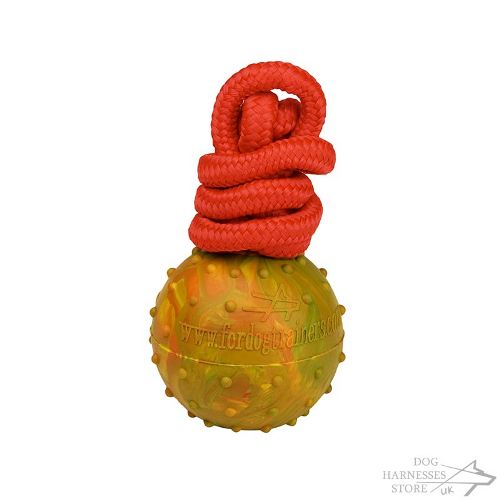 Hard Rubber Ball on Nylon Rope for Dog Training, Dotted Surface