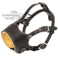dog muzzle leather
