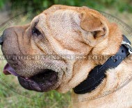 Shar-Pei Collar of One Inch Narrow Leather with Soft Felt Lining