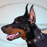 Soft Leather Dog Collar with Nickel Plated Circles Decor