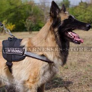 Tervuren Harness with ID Patches and Reflective Strap, Nylon